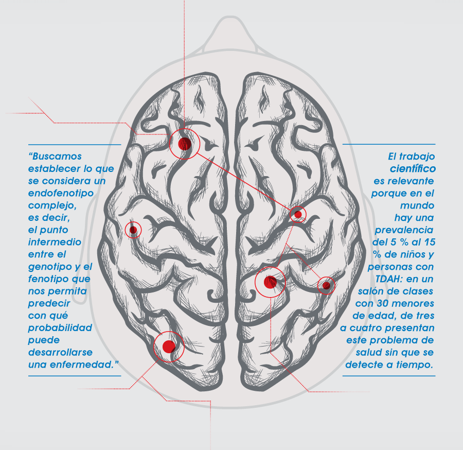 cerebro-texto-azul-2 (1)