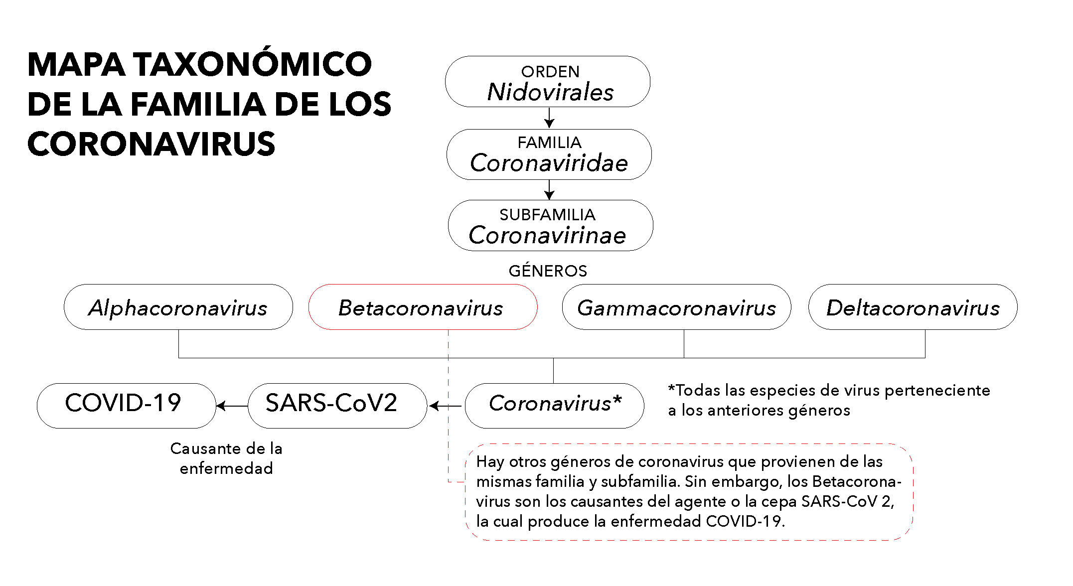 Mapa taxonómico coronavirus