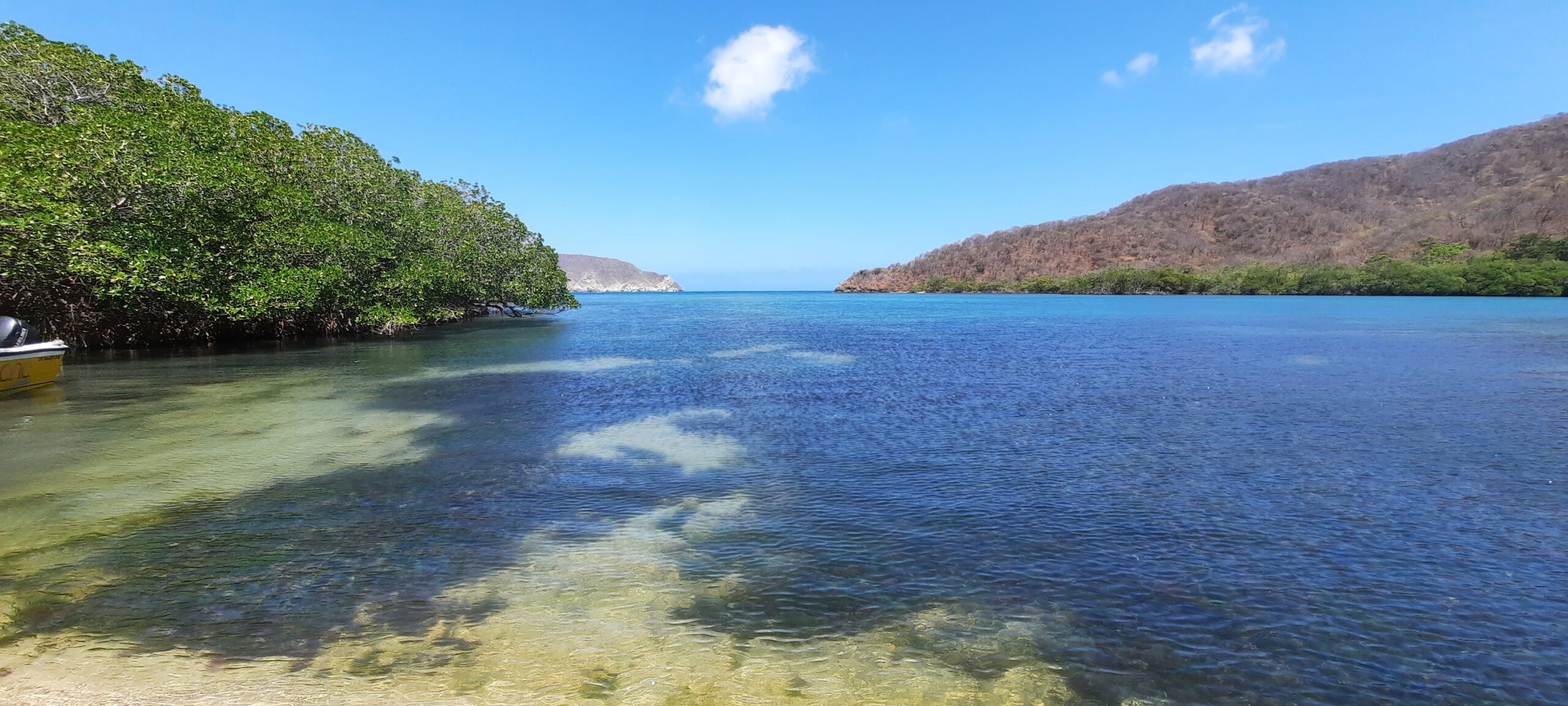 Playa protegida del Parque Tayrona donde se halló la coexistencia entre manglares y corales.